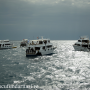 Red Sea diving fleet